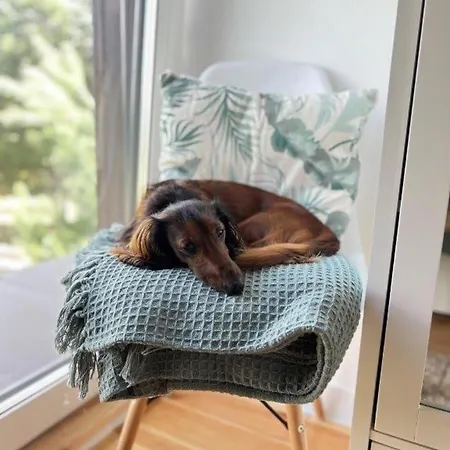 Nowoczesna Stodola Z Balia Na Mazurach *